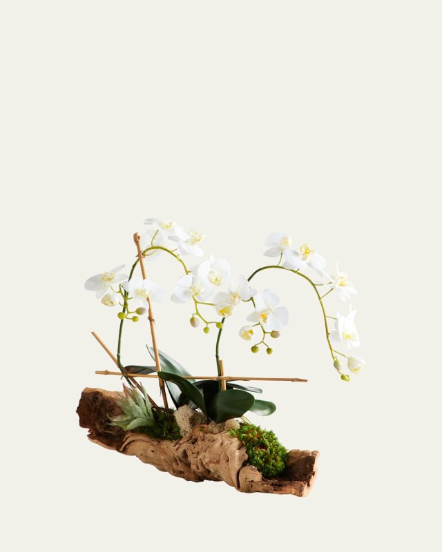 Organic Woody Orchids Arrangement
